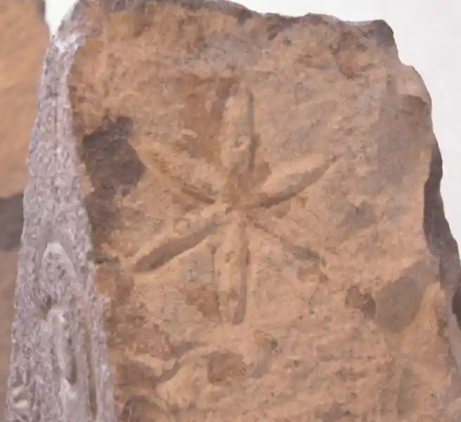 Six-point cross on the side of a funerary stele